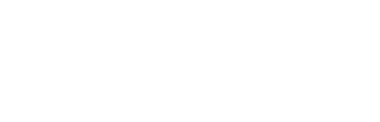 海老団子揚げ