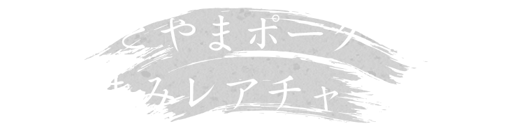 黒部名水ポークの豚角煮